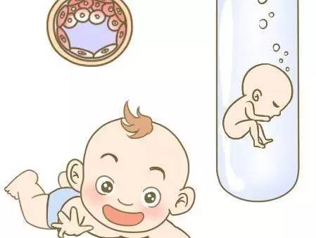 关于丹韵生殖